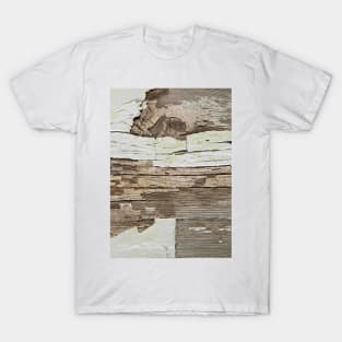 Shabby rustic weathered wood T-Shirt